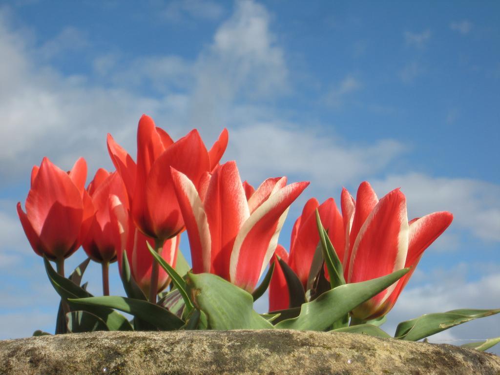 Gartmore House Bed & Breakfast Stirling Bagian luar foto
